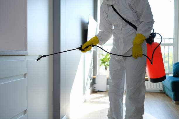 Best Certified Mold Removal  in Laurens, SC